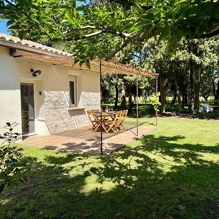 Maisonnette Avec Petite Foret Valréas Exteriör bild